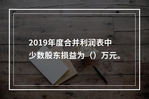 2019年度合并利润表中少数股东损益为（）万元。