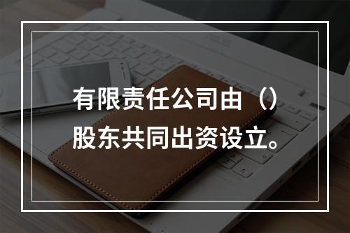 有限责任公司由（）股东共同出资设立。