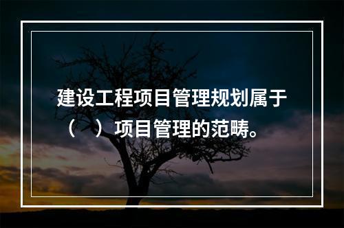 建设工程项目管理规划属于（　）项目管理的范畴。