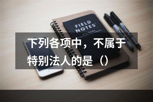 下列各项中，不属于特别法人的是（）