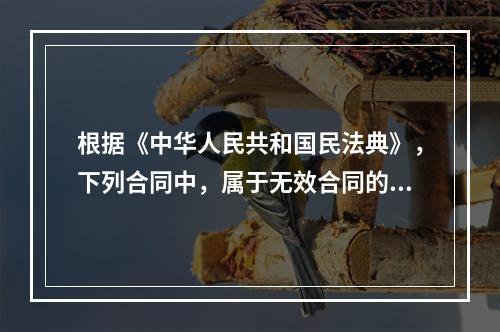 根据《中华人民共和国民法典》，下列合同中，属于无效合同的有（