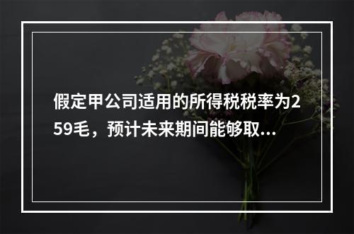 假定甲公司适用的所得税税率为259毛，预计未来期间能够取得足