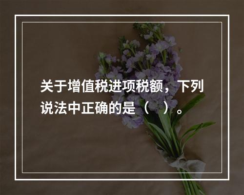 关于增值税进项税额，下列说法中正确的是（　）。