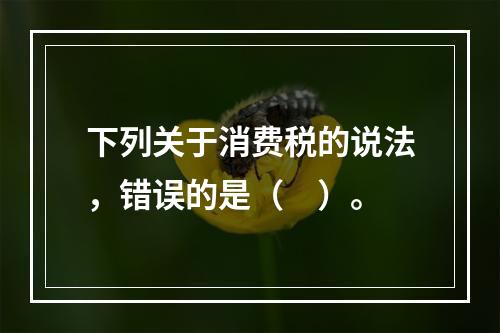 下列关于消费税的说法，错误的是（　）。