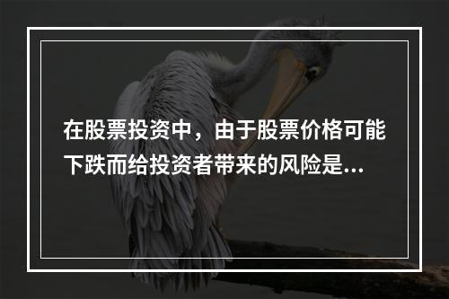 在股票投资中，由于股票价格可能下跌而给投资者带来的风险是（）