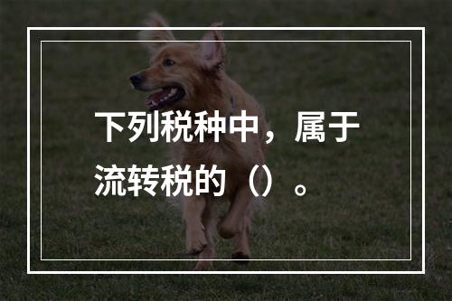 下列税种中，属于流转税的（）。