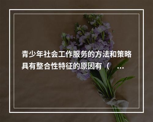 青少年社会工作服务的方法和策略具有整合性特征的原因有（　　）