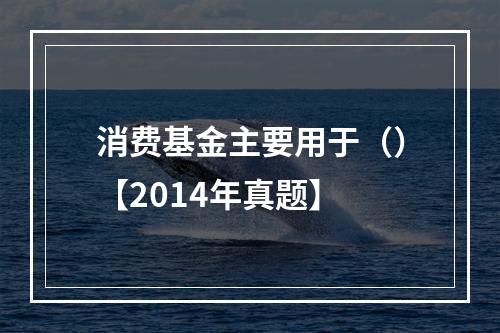 消费基金主要用于（）【2014年真题】