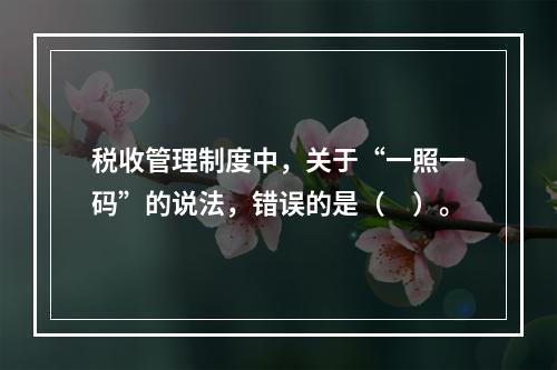 税收管理制度中，关于“一照一码”的说法，错误的是（　）。