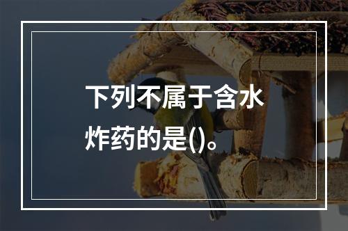 下列不属于含水炸药的是()。