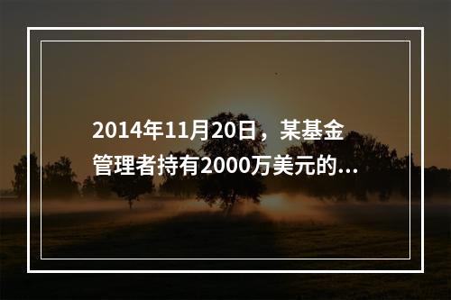 2014年11月20日，某基金管理者持有2000万美元的美国