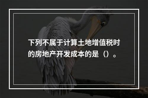 下列不属于计算土地增值税时的房地产开发成本的是（）。