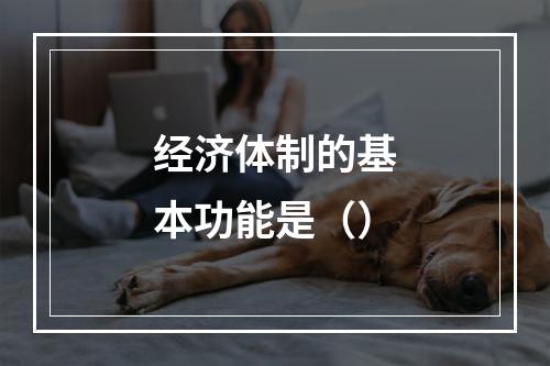 经济体制的基本功能是（）