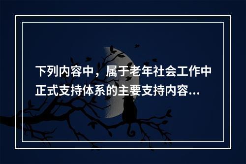 下列内容中，属于老年社会工作中正式支持体系的主要支持内容的有