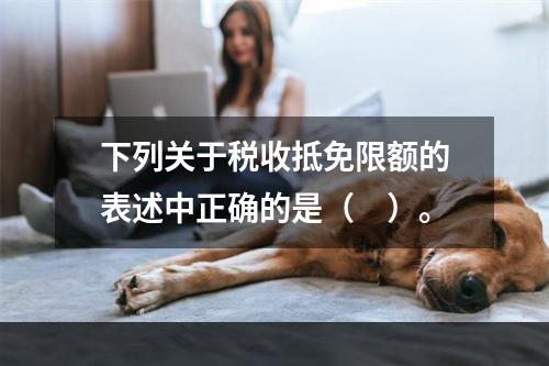 下列关于税收抵免限额的表述中正确的是（　）。