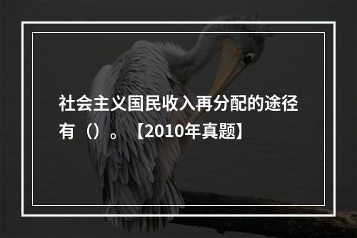 社会主义国民收入再分配的途径有（）。【2010年真题】