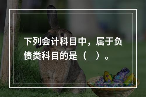 下列会计科目中，属于负债类科目的是（　）。