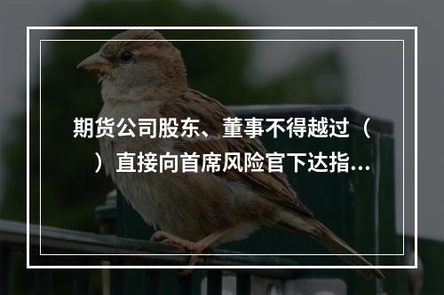 期货公司股东、董事不得越过（　　）直接向首席风险官下达指令或