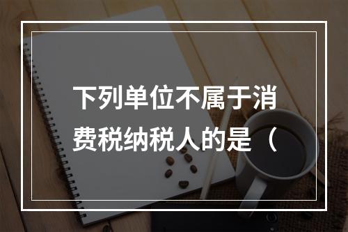 下列单位不属于消费税纳税人的是（