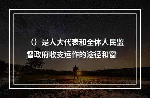 （）是人大代表和全体人民监督政府收支运作的途径和窗