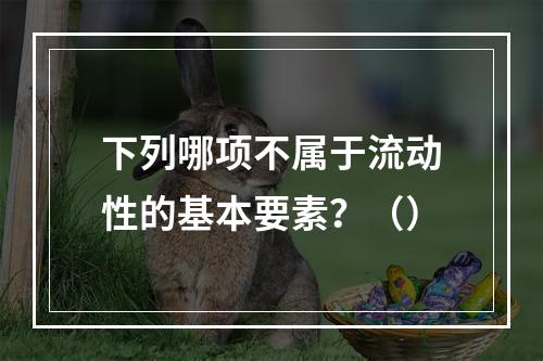 下列哪项不属于流动性的基本要素？（）