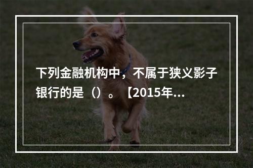 下列金融机构中，不属于狭义影子银行的是（）。【2015年真题