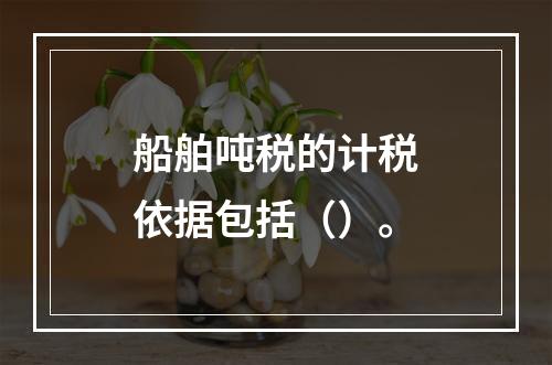 船舶吨税的计税依据包括（）。