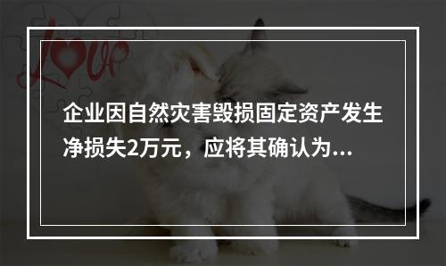 企业因自然灾害毁损固定资产发生净损失2万元，应将其确认为费用