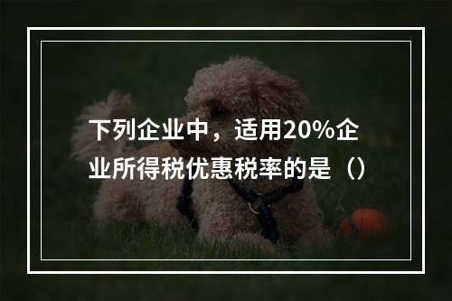 下列企业中，适用20%企业所得税优惠税率的是（）