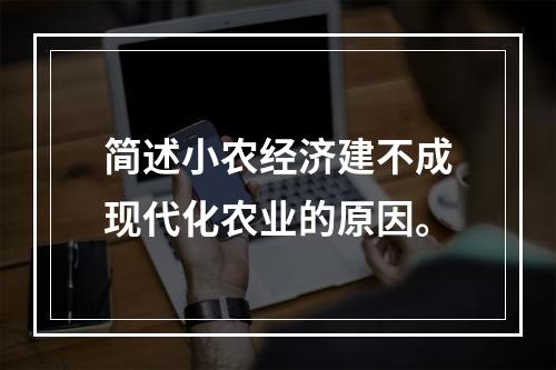 简述小农经济建不成现代化农业的原因。