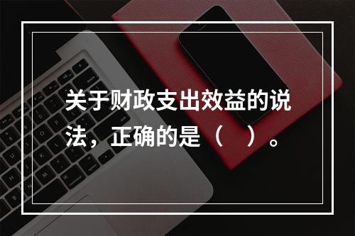 关于财政支出效益的说法，正确的是（　）。