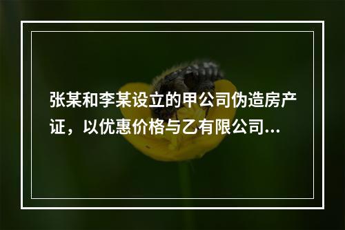 张某和李某设立的甲公司伪造房产证，以优惠价格与乙有限公司签订