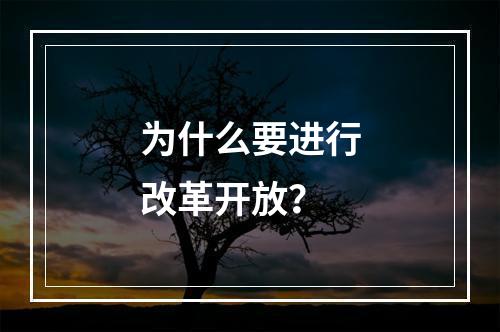 为什么要进行改革开放？