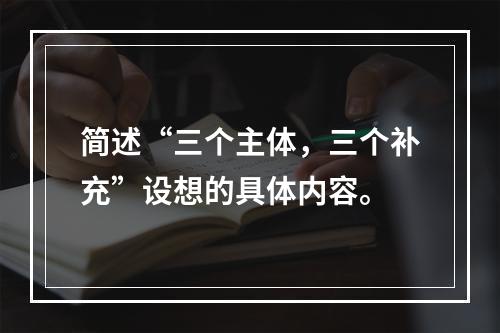 简述“三个主体，三个补充”设想的具体内容。