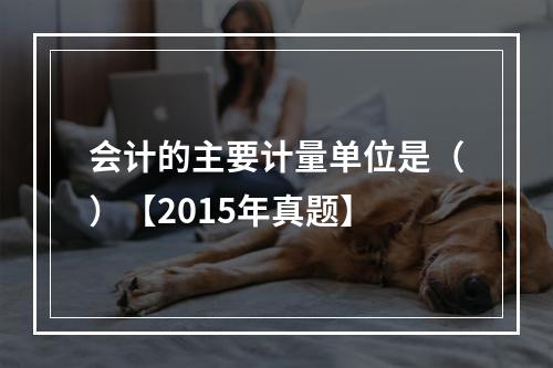 会计的主要计量单位是（）【2015年真题】