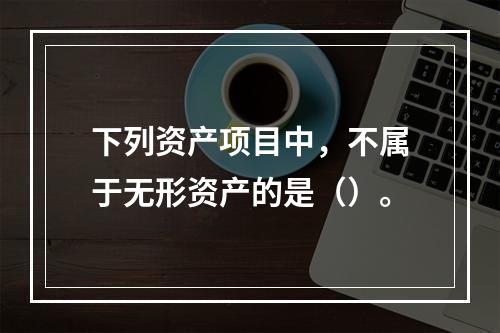 下列资产项目中，不属于无形资产的是（）。