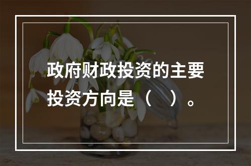 政府财政投资的主要投资方向是（　）。