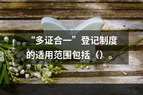 “多证合一”登记制度的适用范围包括（）。