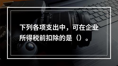 下列各项支出中，可在企业所得税前扣除的是（）。