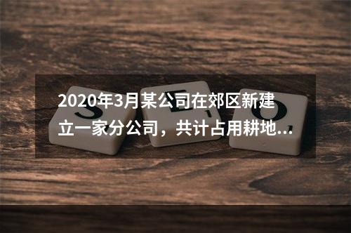 2020年3月某公司在郊区新建立一家分公司，共计占用耕地15