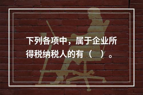 下列各项中，属于企业所得税纳税人的有（　）。