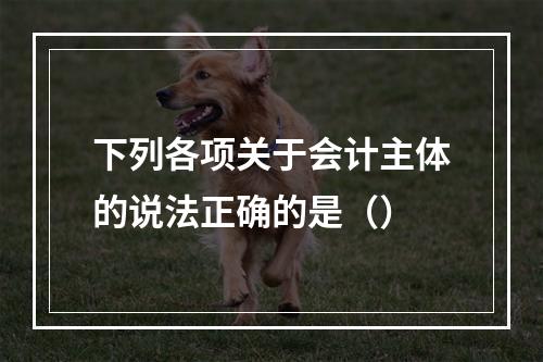 下列各项关于会计主体的说法正确的是（）