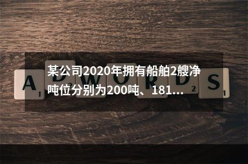 某公司2020年拥有船舶2艘净吨位分别为200吨、181吨；