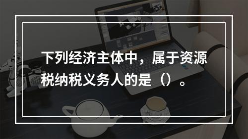 下列经济主体中，属于资源税纳税义务人的是（）。