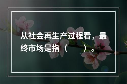 从社会再生产过程看，最终市场是指（　　）。