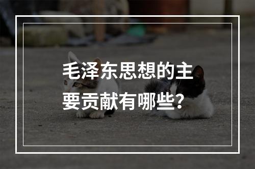 毛泽东思想的主要贡献有哪些？