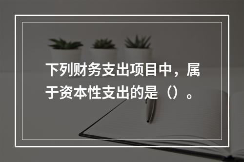 下列财务支出项目中，属于资本性支出的是（）。