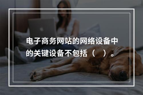 电子商务网站的网络设备中的关键设备不包括（　）。