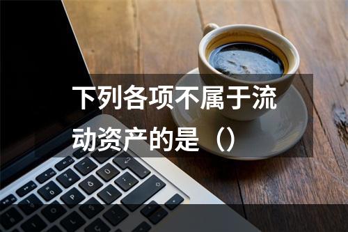 下列各项不属于流动资产的是（）