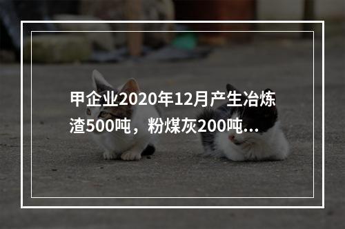 甲企业2020年12月产生冶炼渣500吨，粉煤灰200吨，其